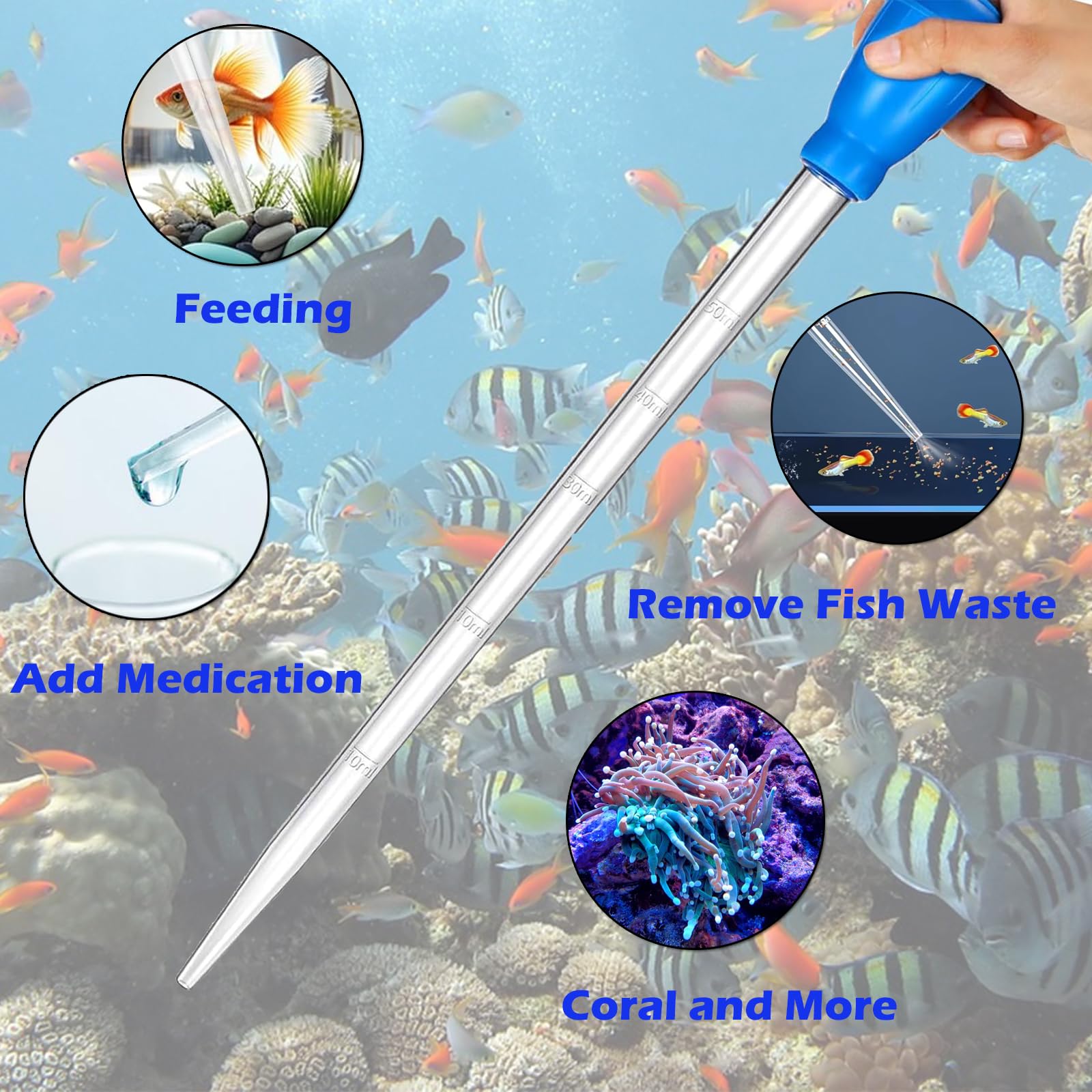KABASI utilisation dans aquarium pour nourrir coraux et aspirer débris sans déranger