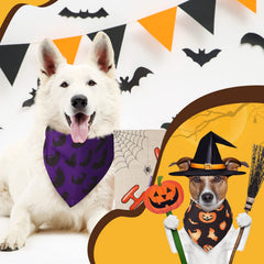 Kacctyen bandana porté sur chien montrant confort et style