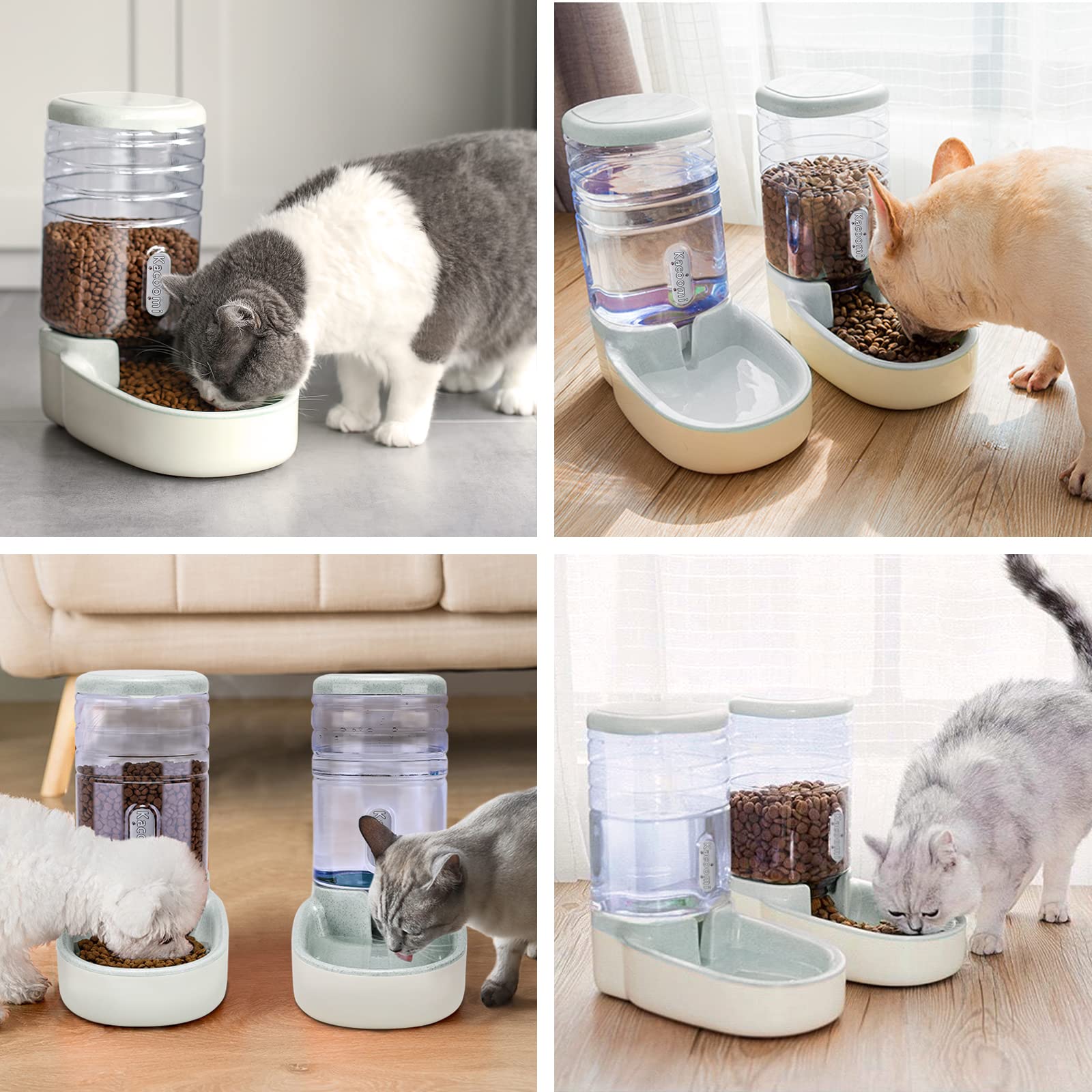 Kacoomi comparaison taille avec chat pour évaluer capacité