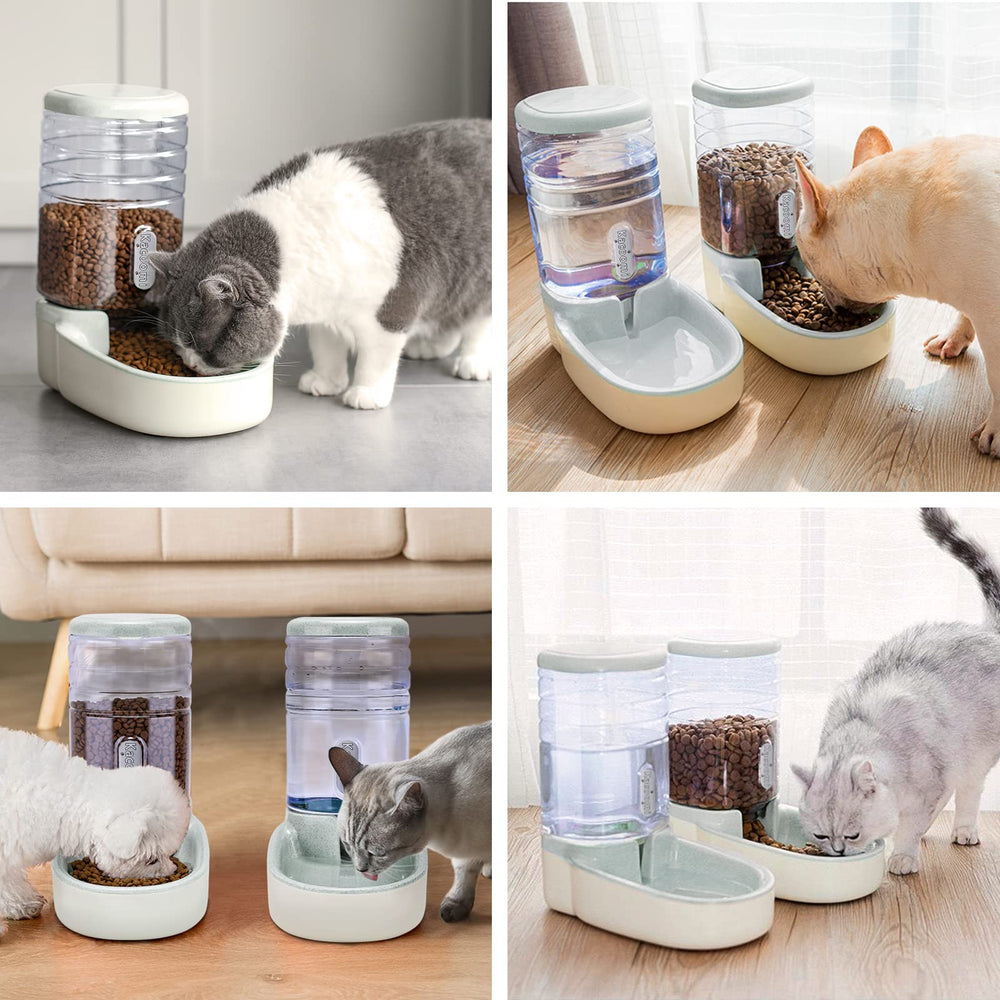 Kacoomi comparaison taille avec chat pour évaluer capacité