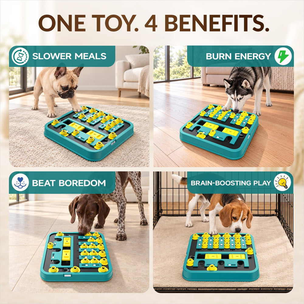KADTC lifestyle salon jeu montrant divertissement intérieur pour chiens
