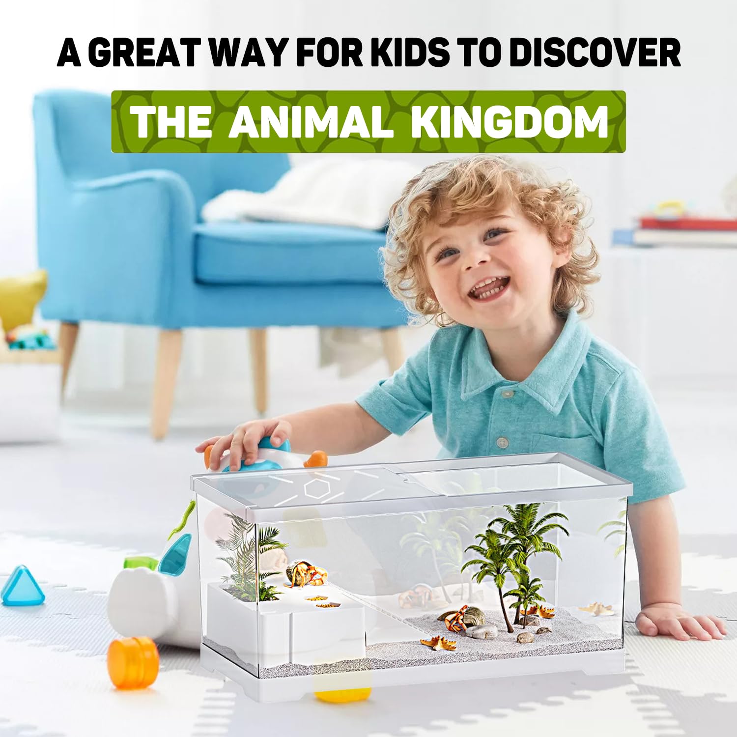 KAKOOTI aquarium installé en intérieur esthétique et pratique
