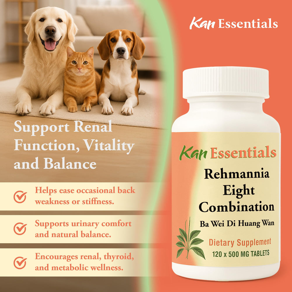 Kan Herb animal acceptant comprimé soulignant confort et conformité