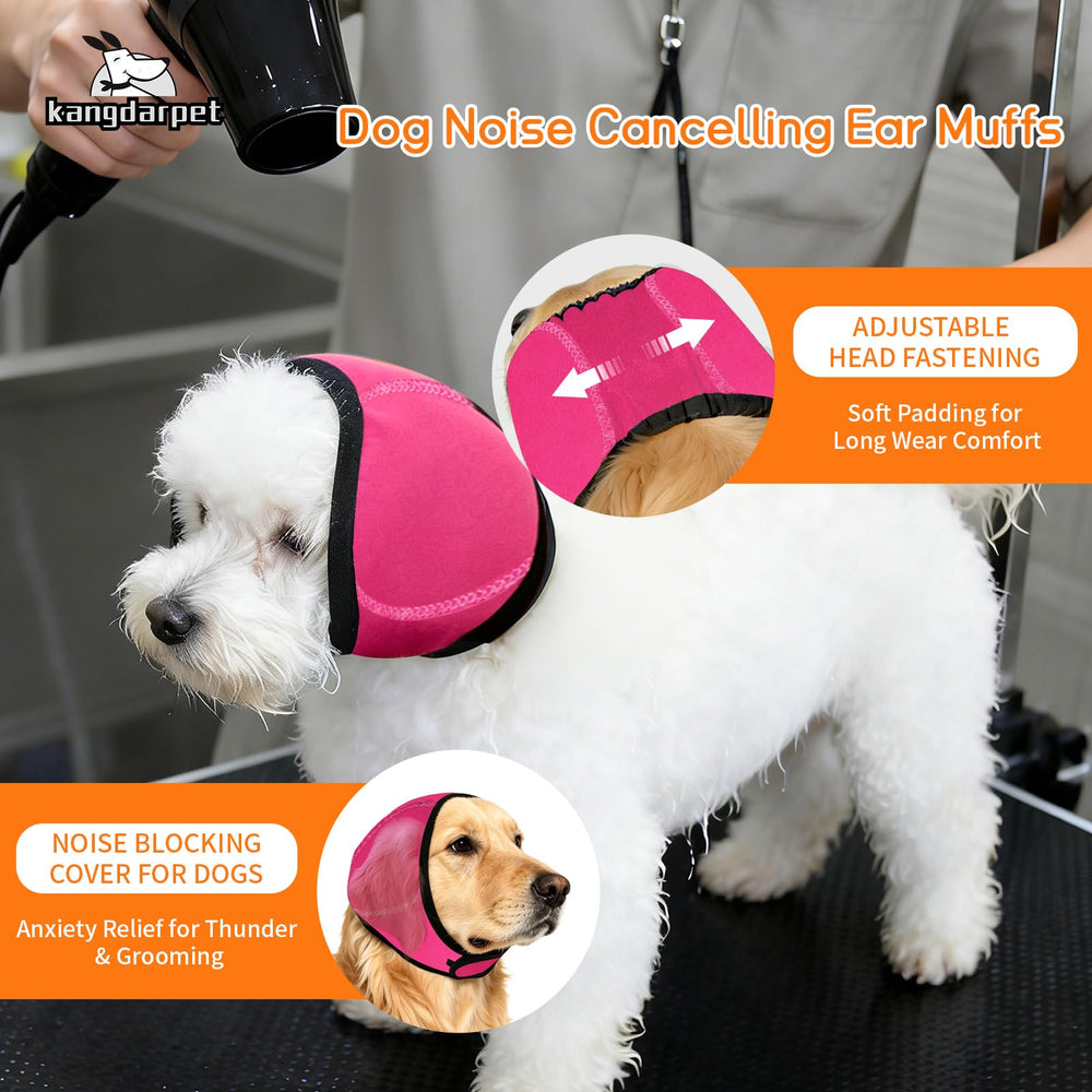 Kangdarpet chiot relaxé sur canapé grâce à la cagoule