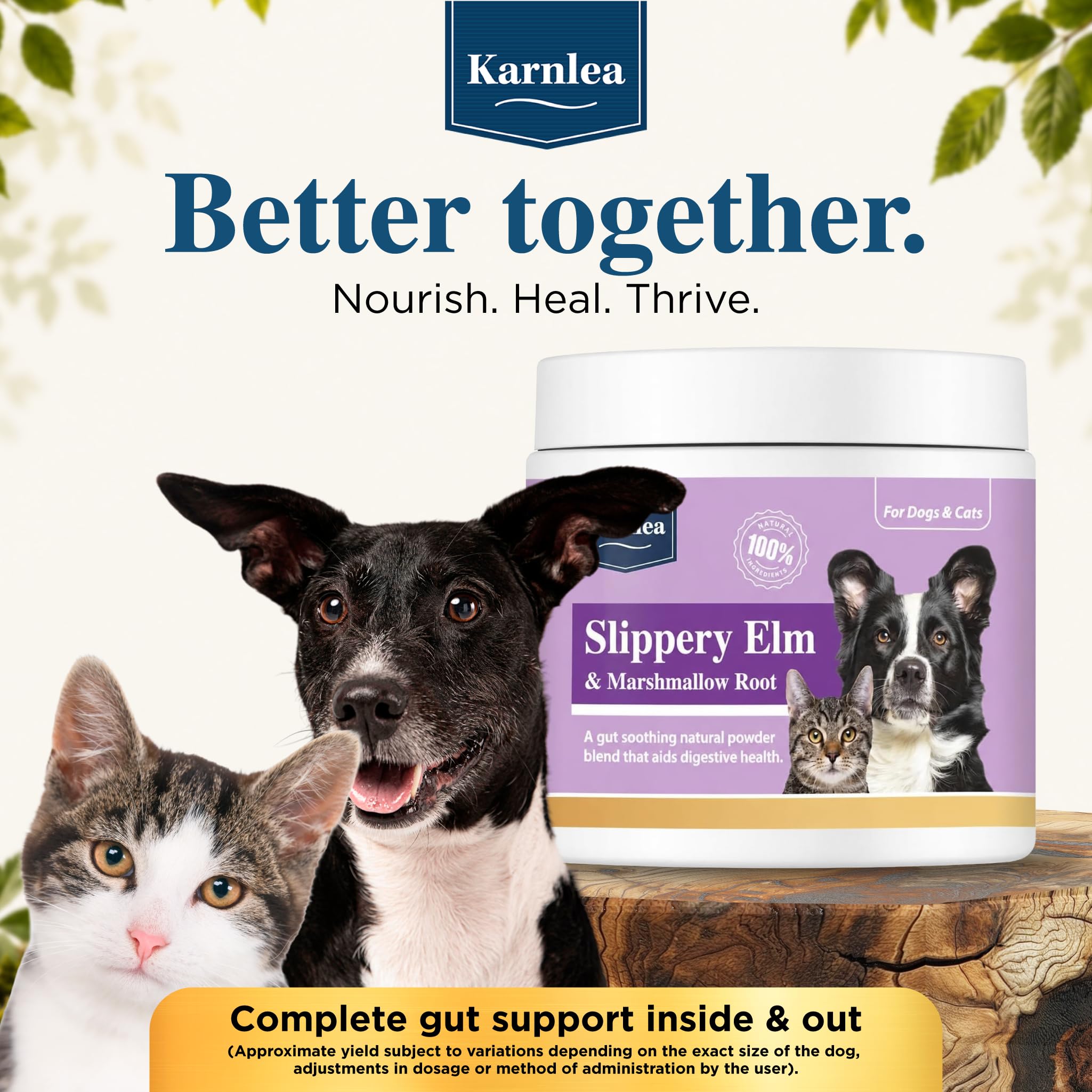 KARNLEA ajouté aux aliments d’un chat pour meilleure tolérance