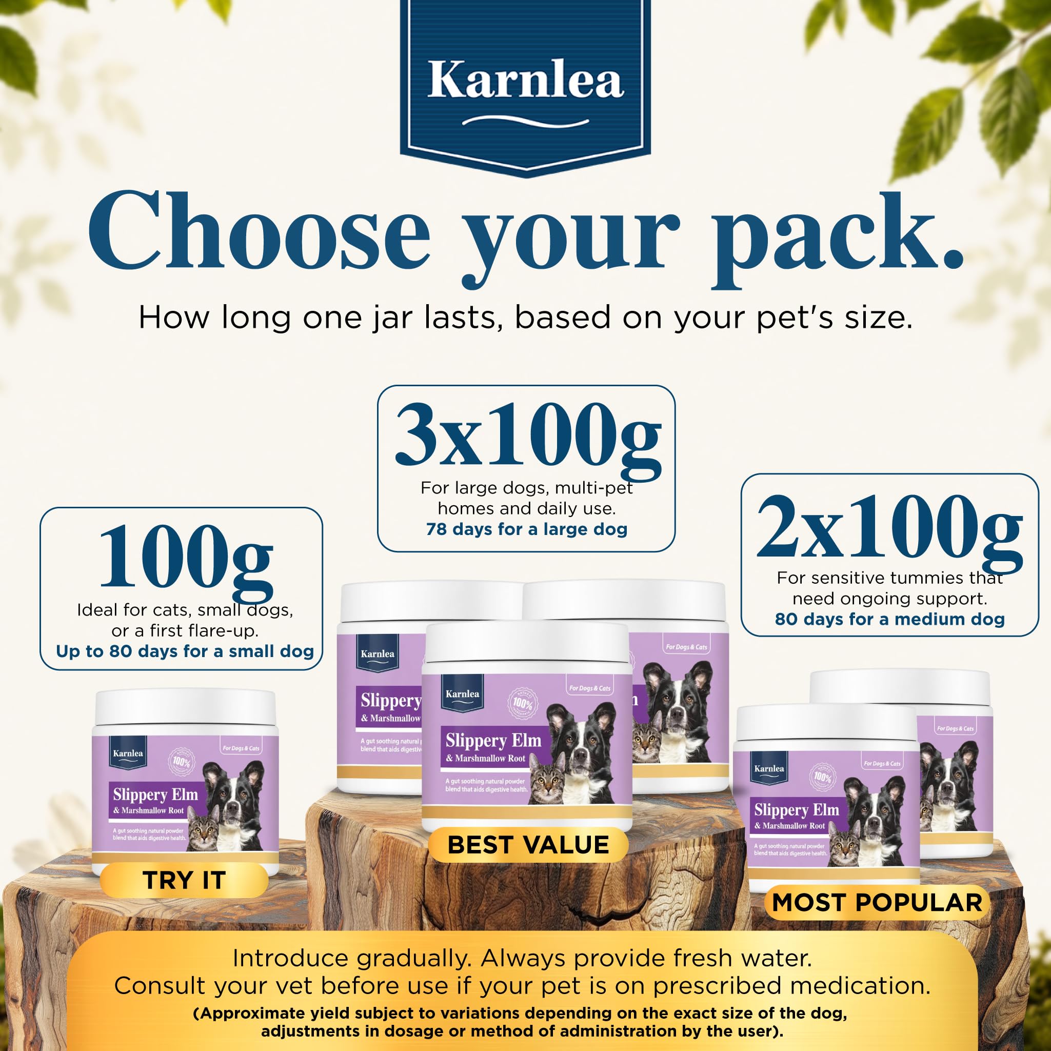 KARNLEA appliqué au repas d’un chien pour soutien intestinal