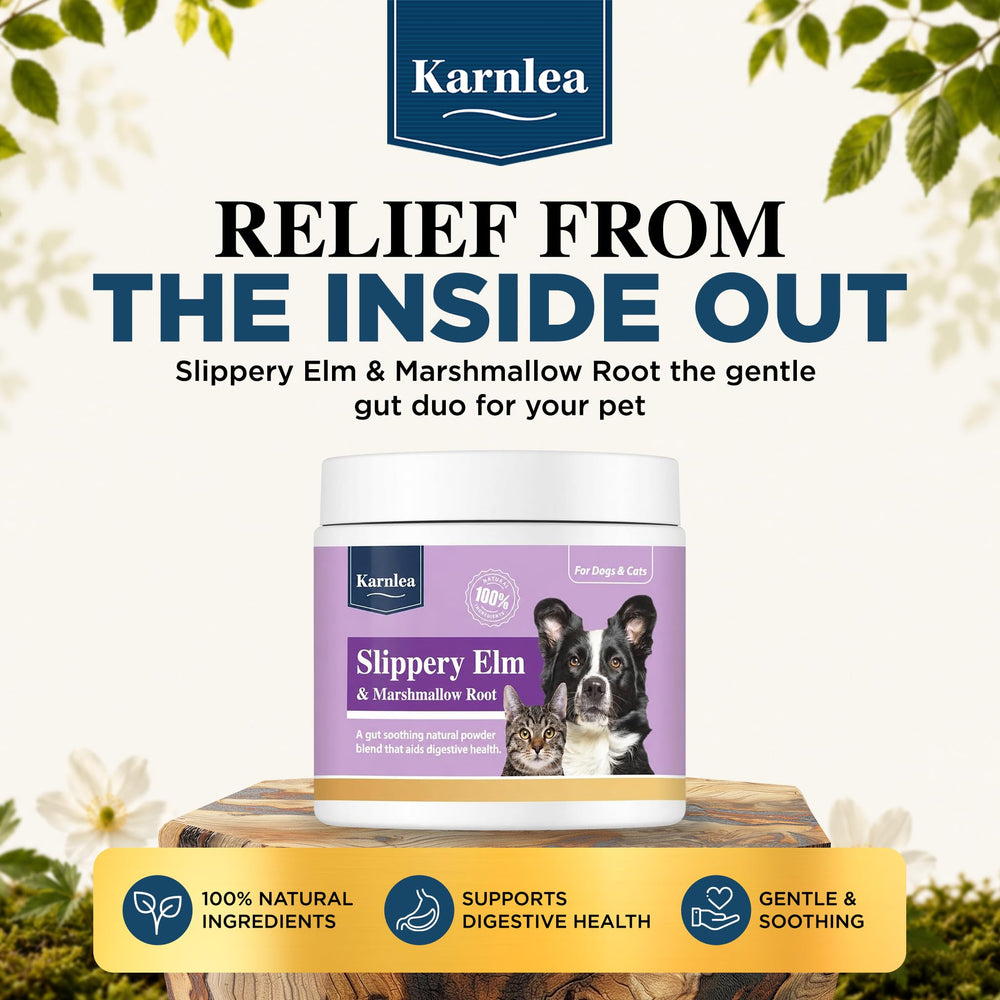 KARNLEA poudre gros plan révélant texture mucilagineuse apaisante