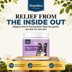 KARNLEA poudre gros plan révélant texture mucilagineuse apaisante
