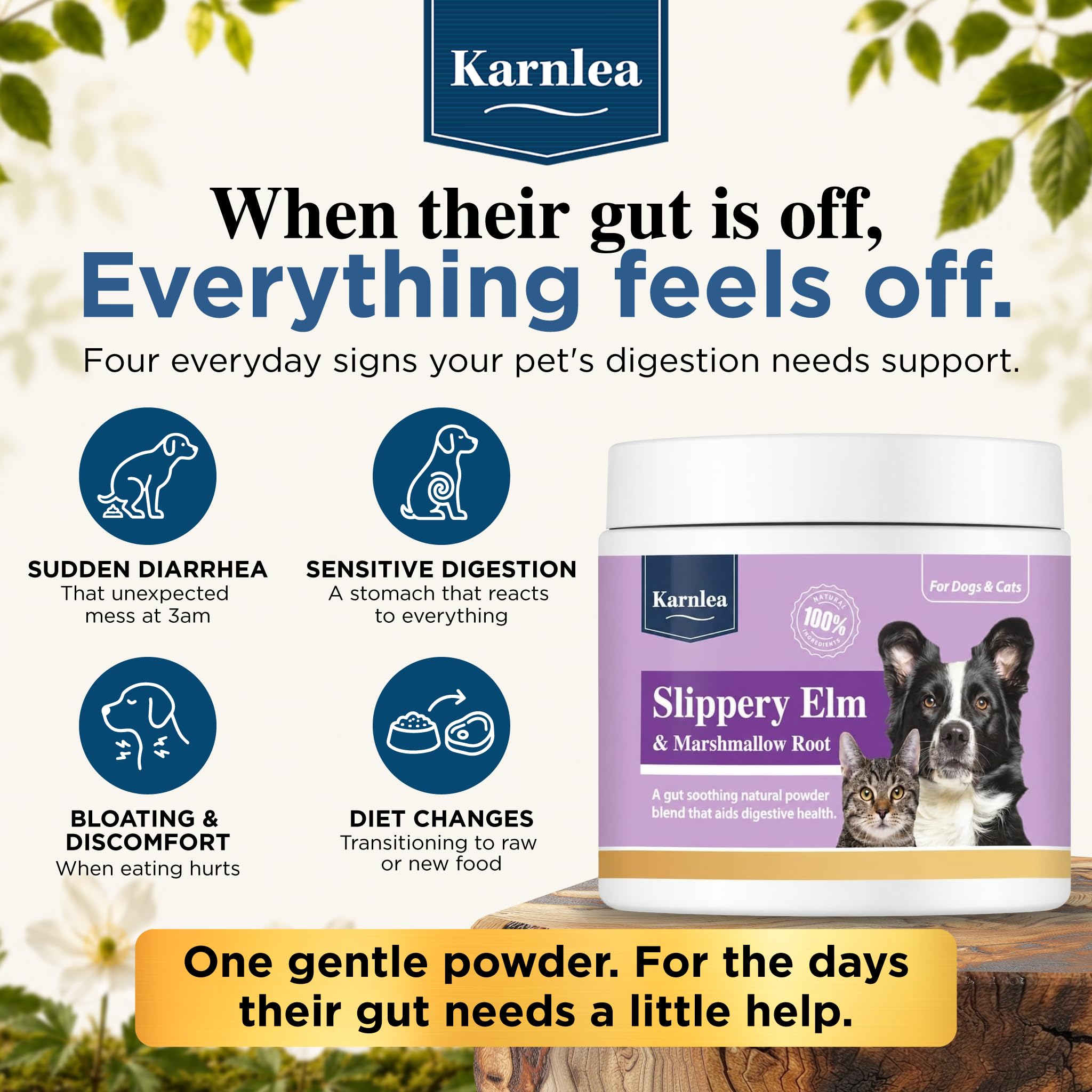 KARNLEA préparation en pâte dans un bol facilitant digestion