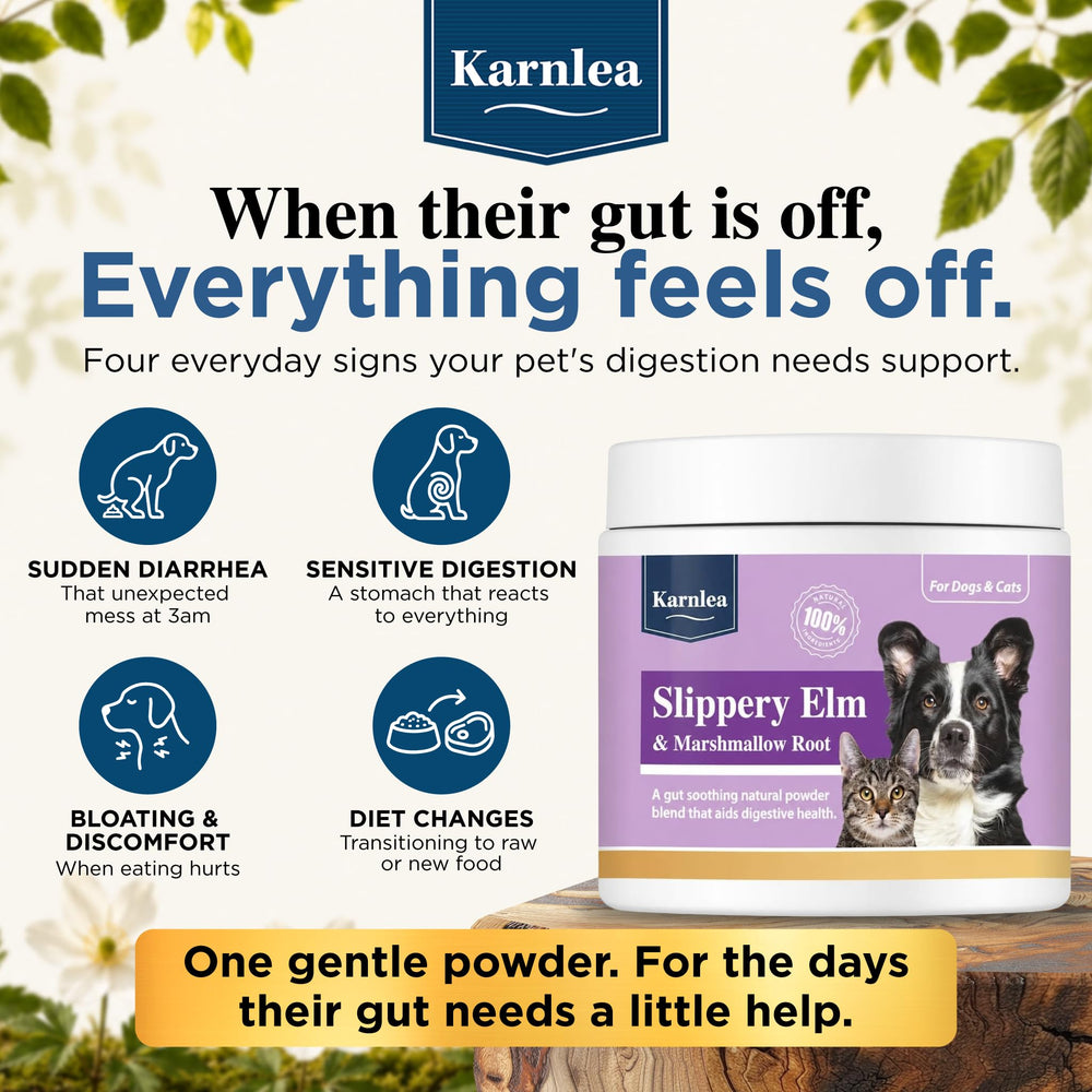 KARNLEA préparation en pâte dans un bol facilitant digestion