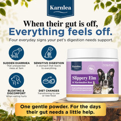 KARNLEA préparation en pâte dans un bol facilitant digestion