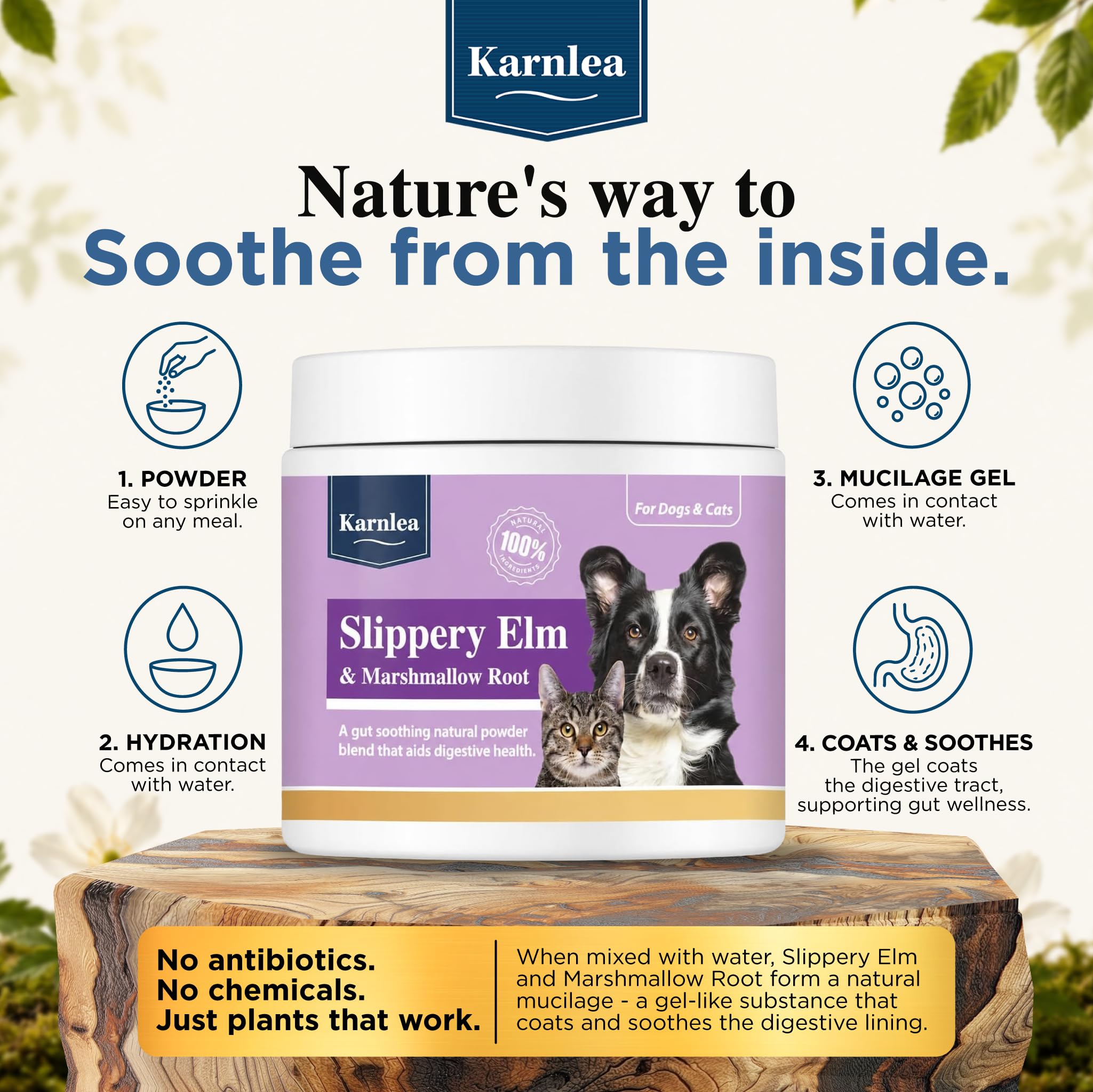 KARNLEA saupoudré sur croquettes pour confort digestif