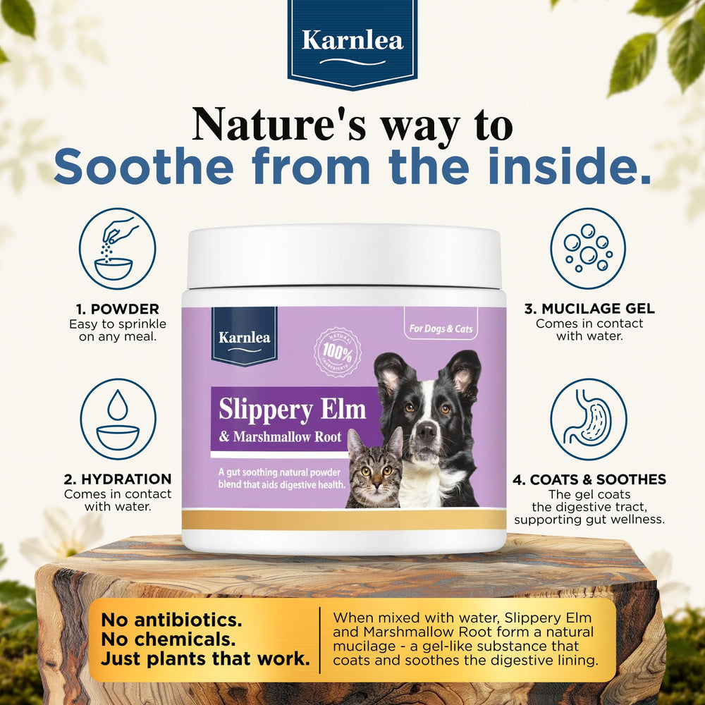 KARNLEA saupoudré sur croquettes pour confort digestif