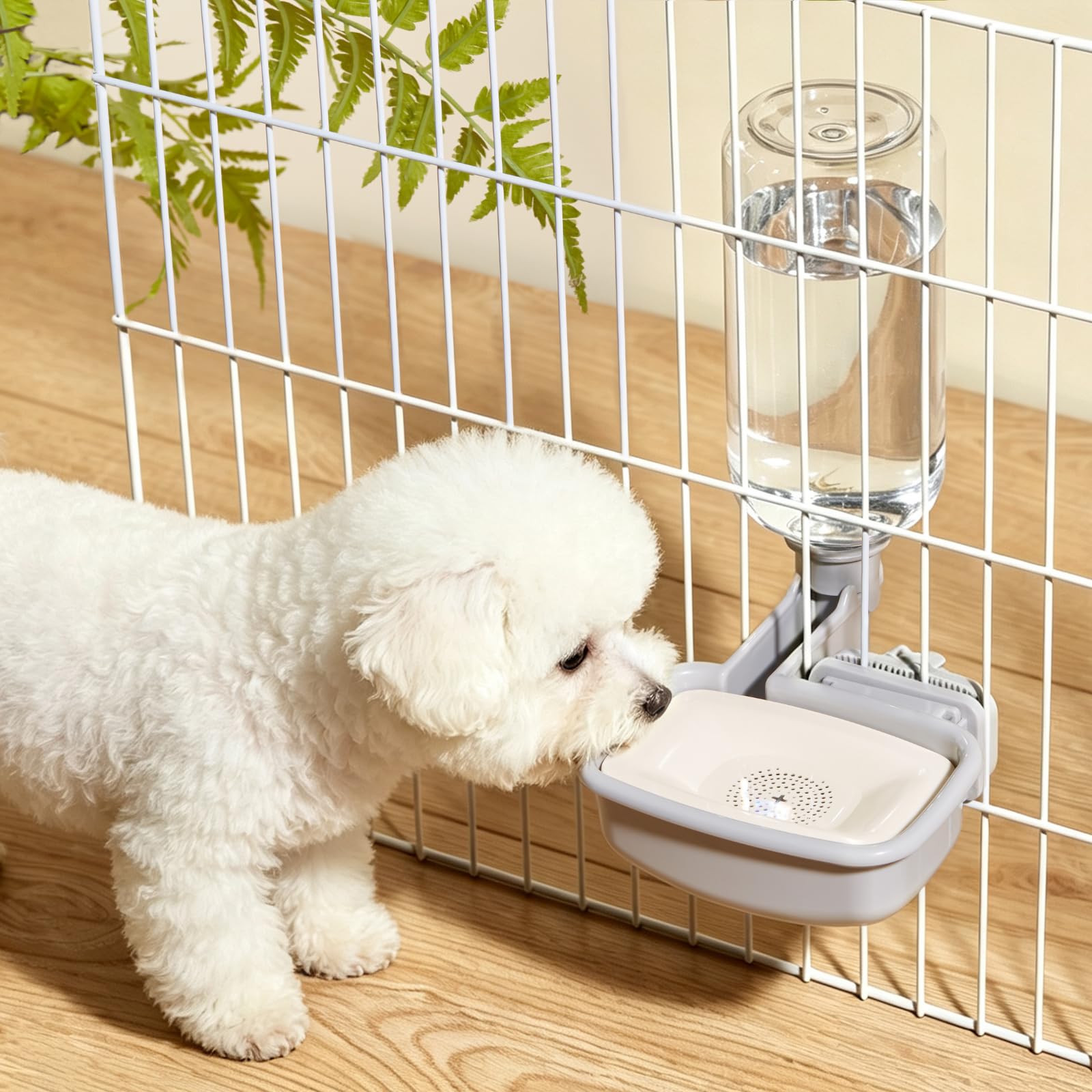 Kassiva comparaison de taille avec une main montrant capacité 16oz pratique