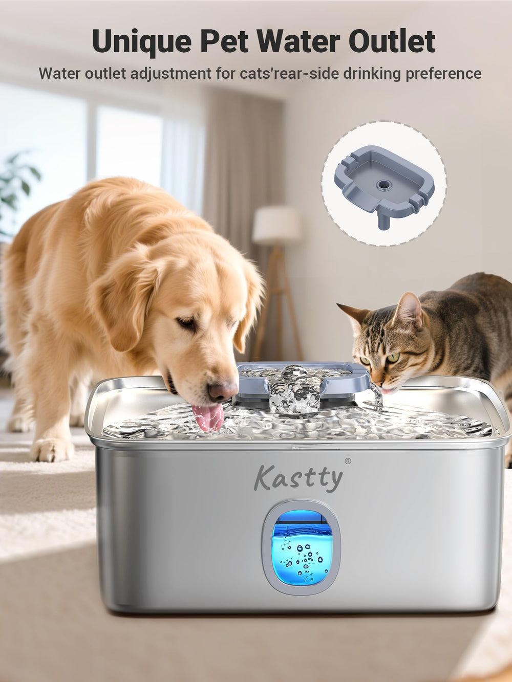 Kastty comparaison taille montrant l'échelle et capacité pour grands chiens