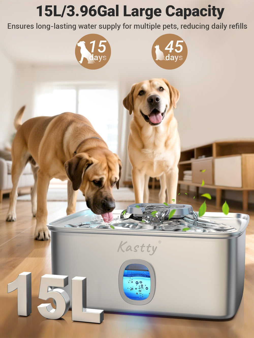 Kastty gros plan acier inoxydable 304 facile à nettoyer et durable