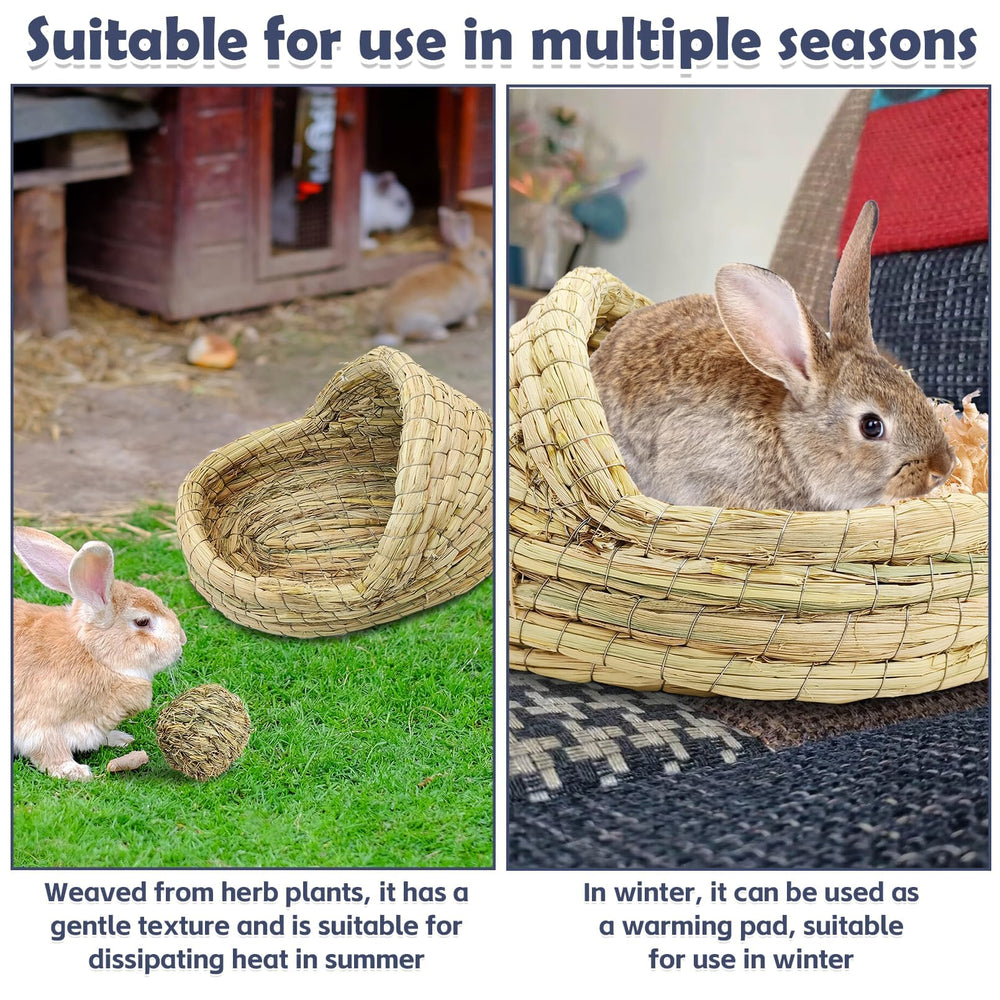 kathson lapin installé dans la maison pour repos tranquille