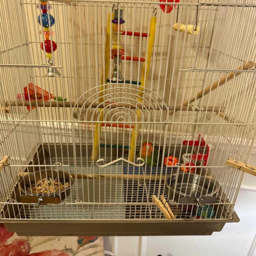 kathson comparaison taille main montrant dimensions adaptées petits oiseaux