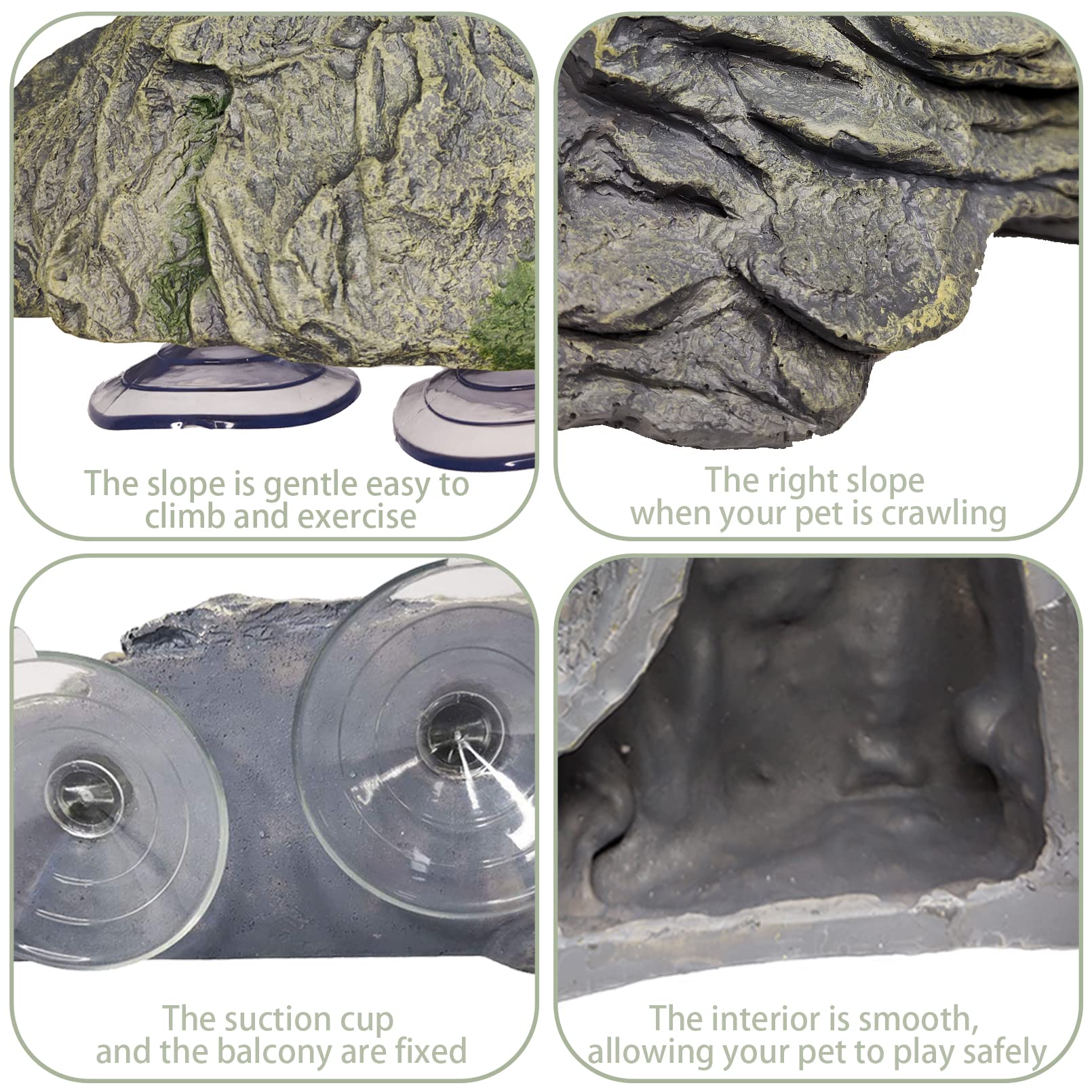 kathson dimensions comparaison tortue pour choix de taille