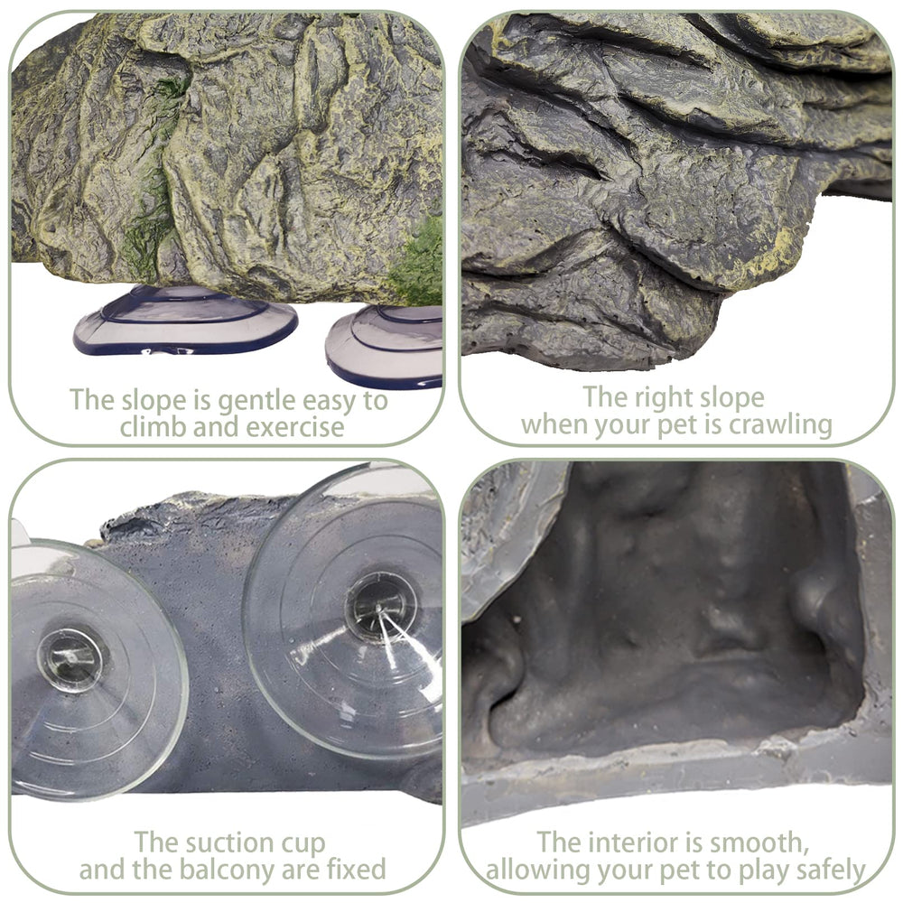 kathson dimensions comparaison tortue pour choix de taille
