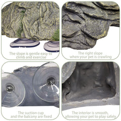 kathson dimensions comparaison tortue pour choix de taille