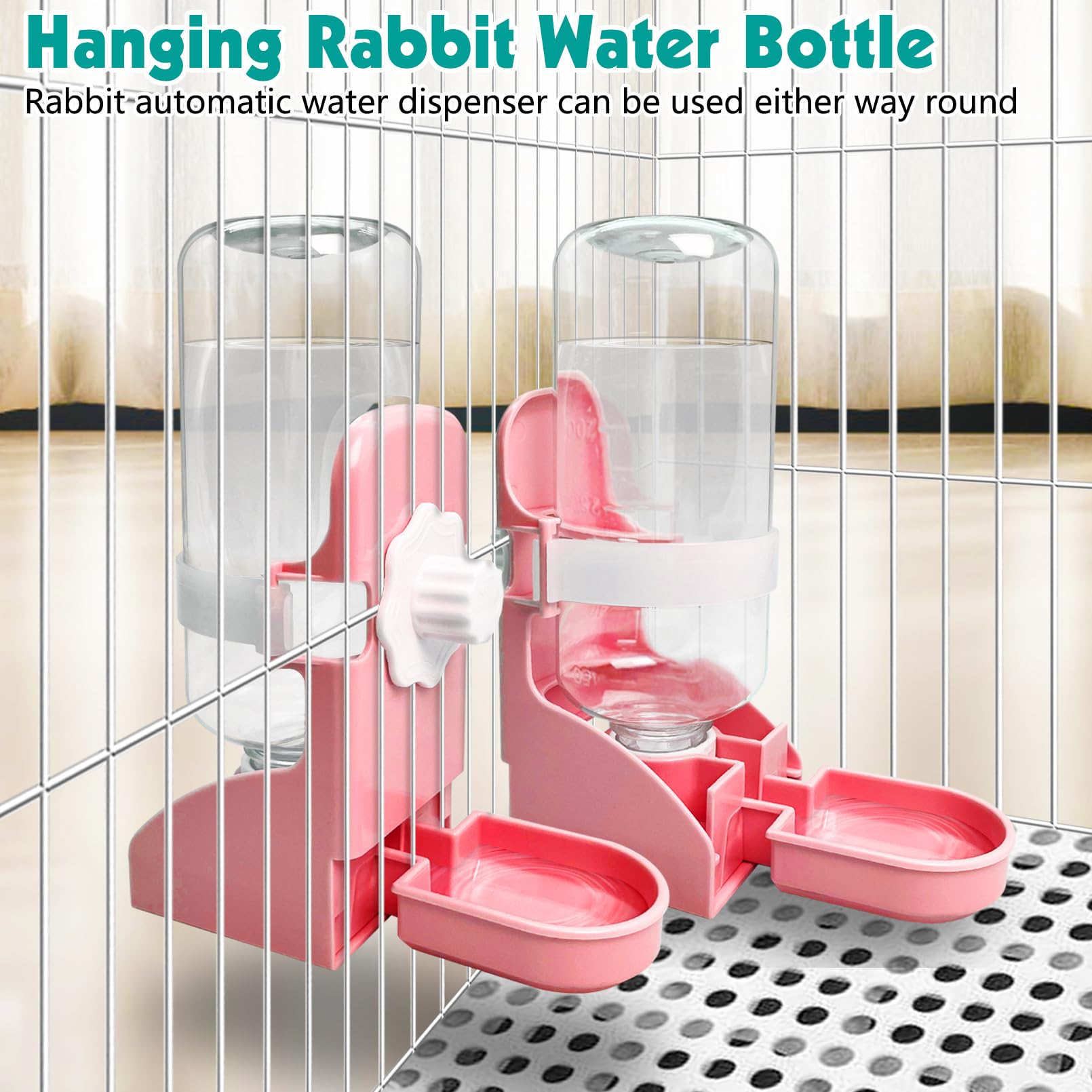 kathson en usage lapin boit confortablement pour hydratation aisée