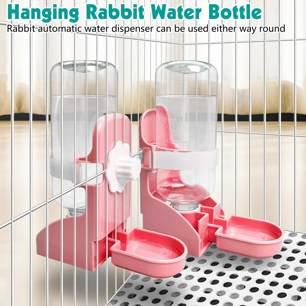 kathson en usage lapin boit confortablement pour hydratation aisée