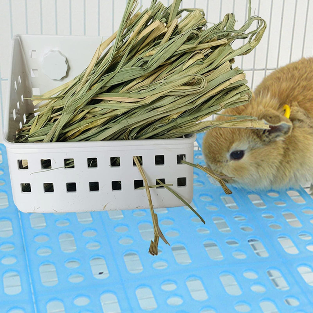 kathson râtelier installé en cage avec lapin confort d'accès au foin
