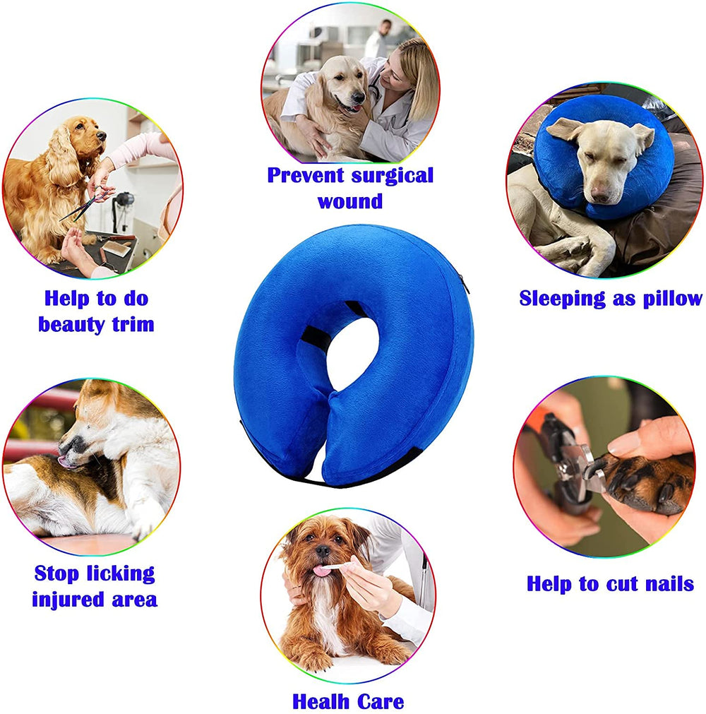 Katoggy insert PVC extrait montrant nettoyage et praticité