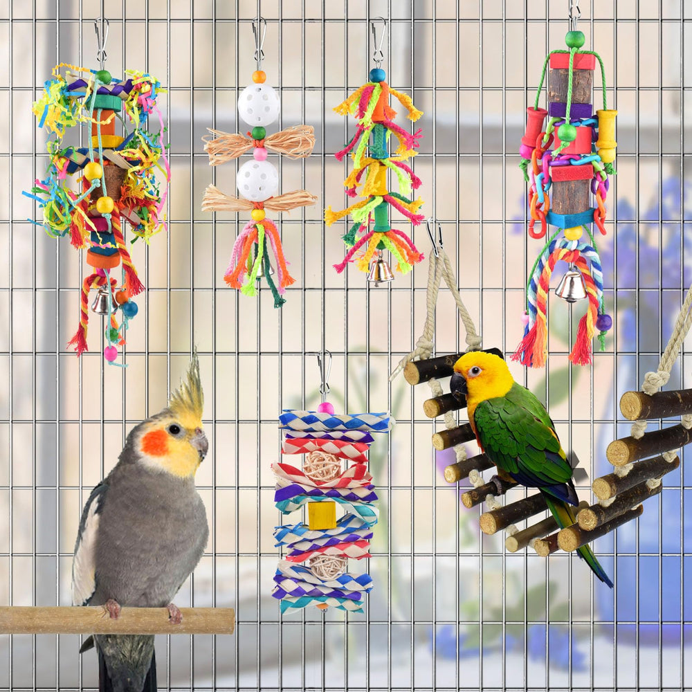 KATUMO cage équipée avec jouets encouragent activité et calme