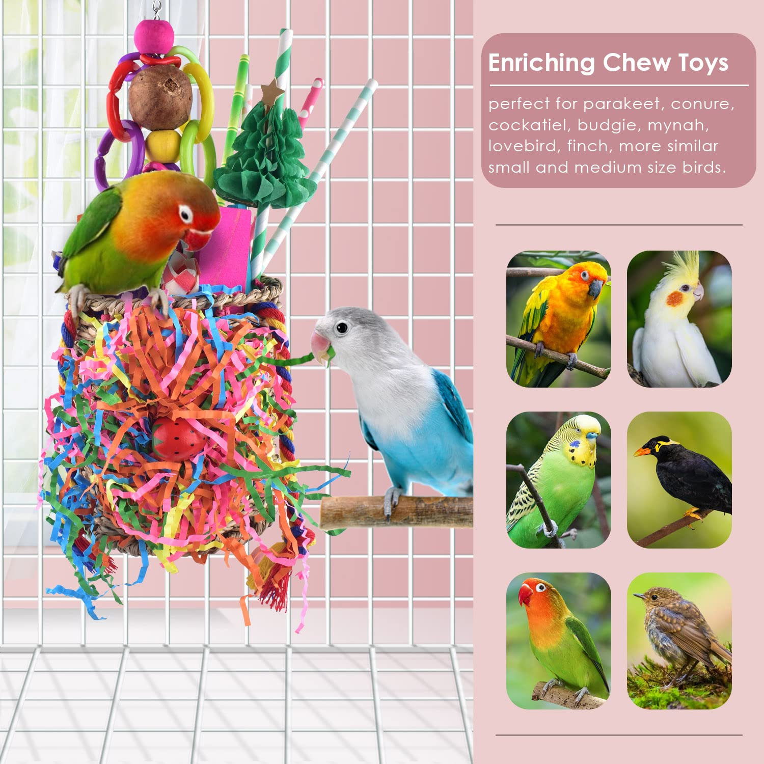 KATUMO chaîne inox et crochet actif, fixation solide et pratique