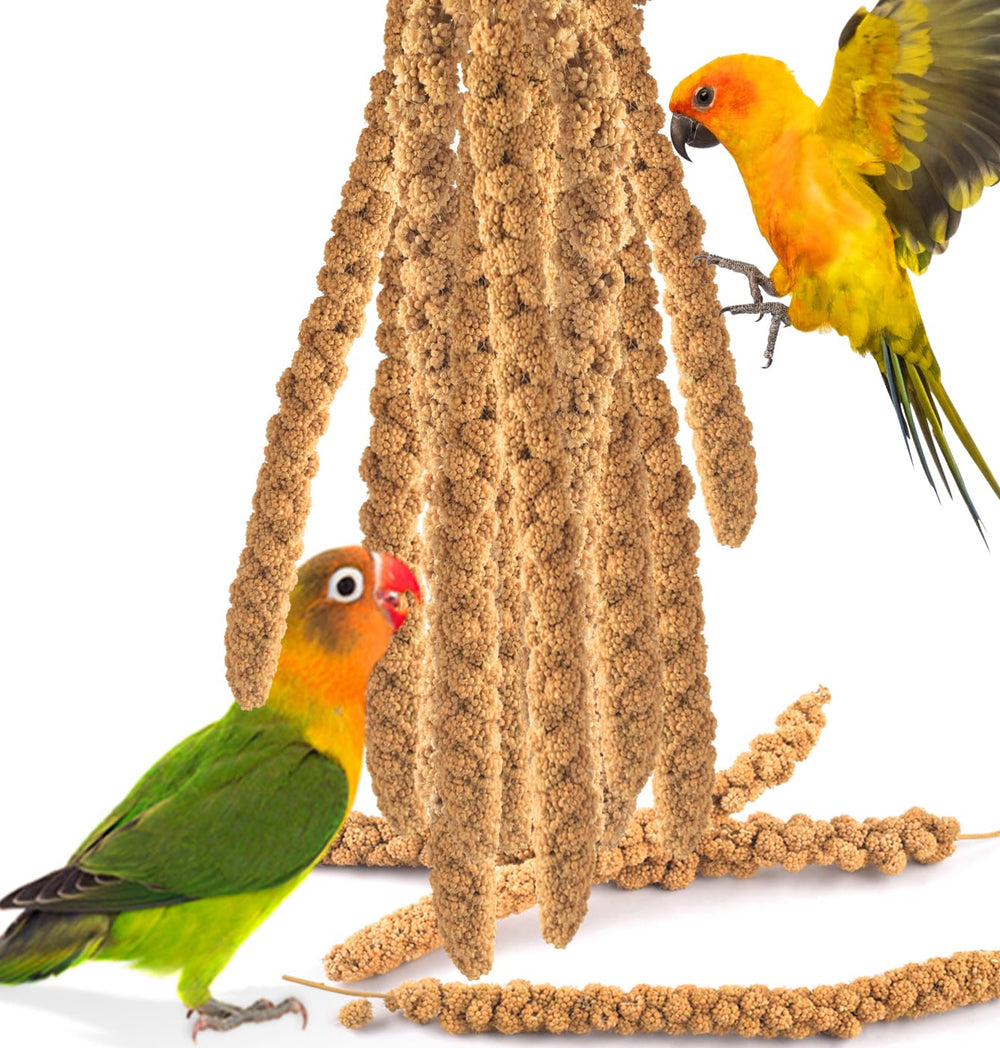 KATUMO emballage face montrant 200g d'épis de millet, qualité naturelle