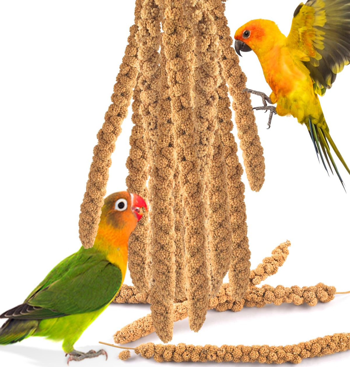 KATUMO emballage face montrant 200g d'épis de millet, qualité naturelle
