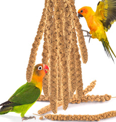 KATUMO emballage face montrant 200g d'épis de millet, qualité naturelle