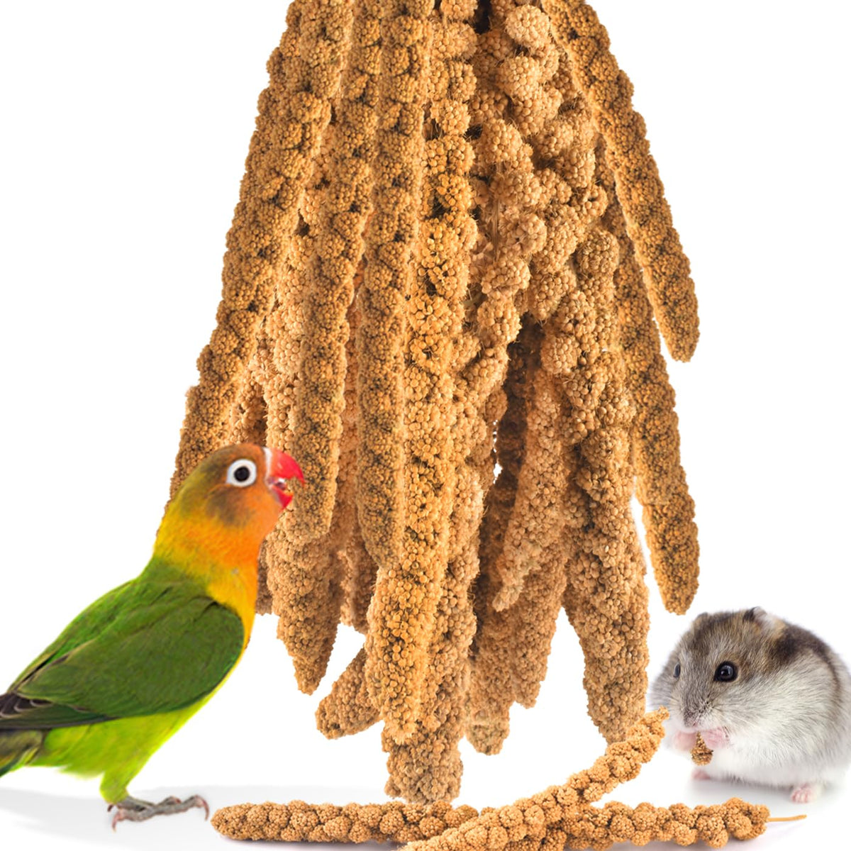 KATUMO face de l'emballage montrant le paquet de millet et avantage naturel