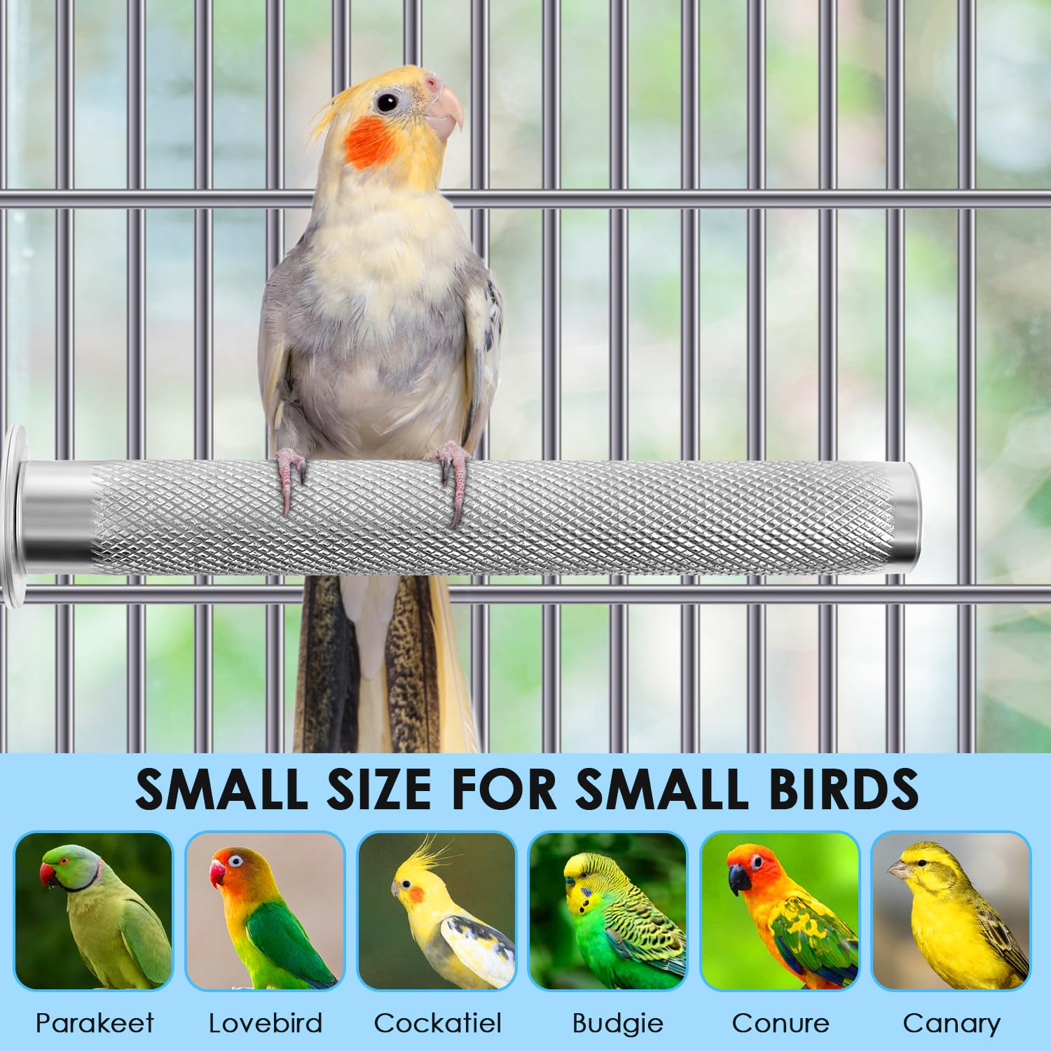 KATUMO perchoir en situation dans cage améliorant environnement