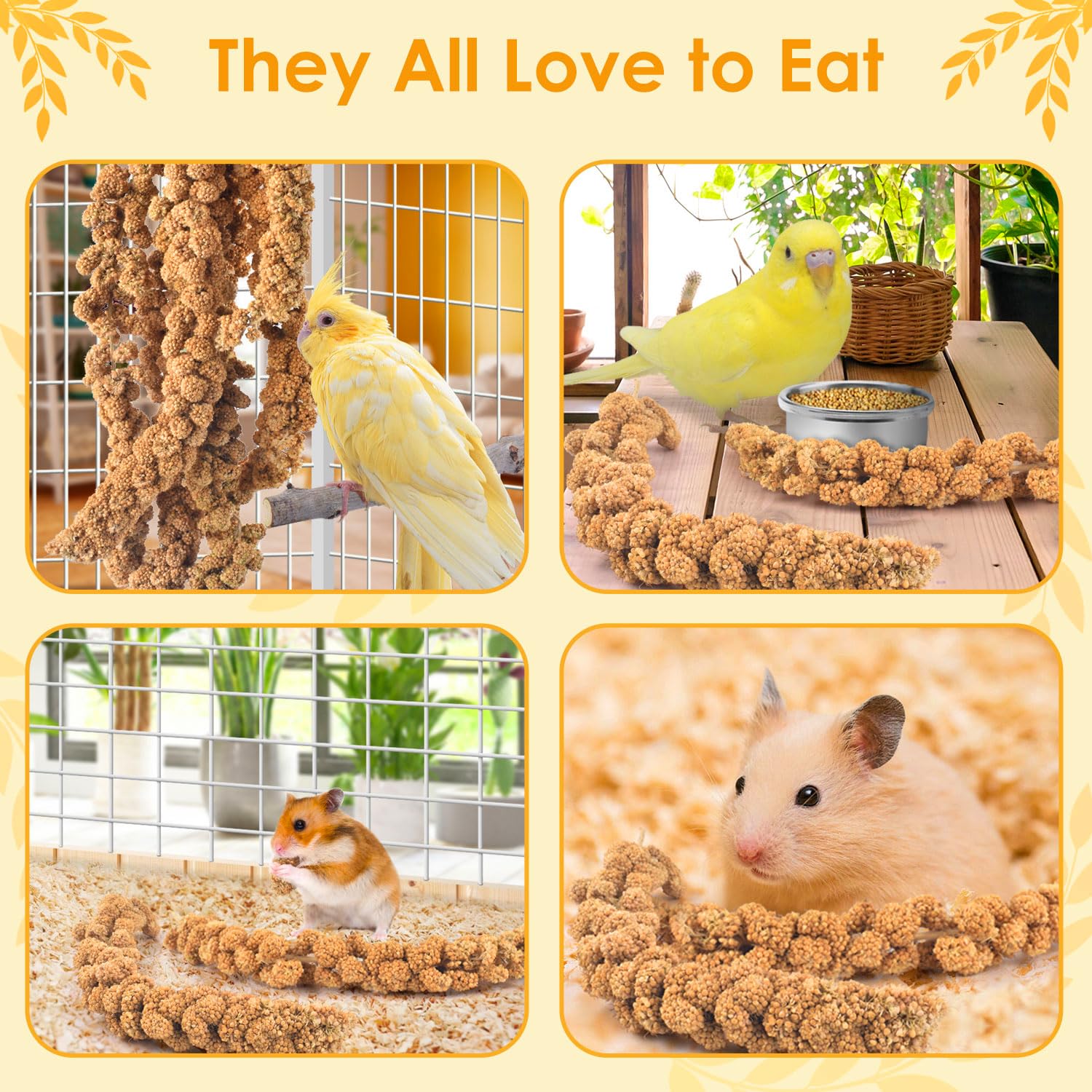 KATUMO hamster grignote millet montrant polyvalence pour petits rongeurs