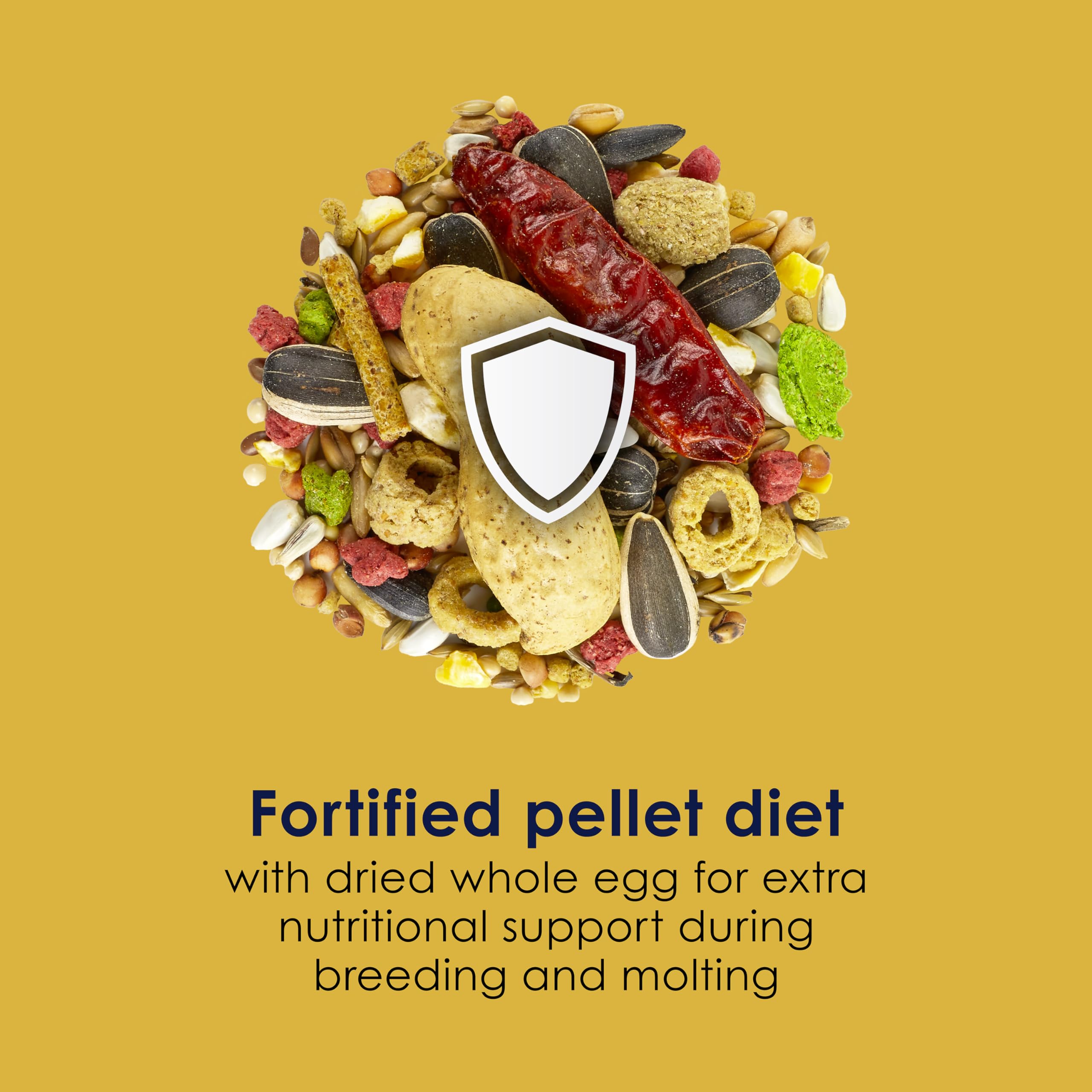 Kaytee étiquette nutritionnelle lisible, détails sur vitamines, minéraux et probiotiques