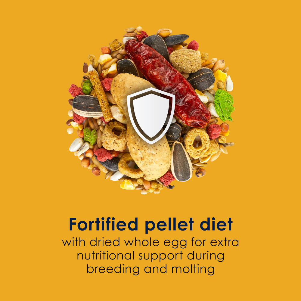 Kaytee étiquette nutritionnelle lisible, détails sur vitamines, minéraux et probiotiques
