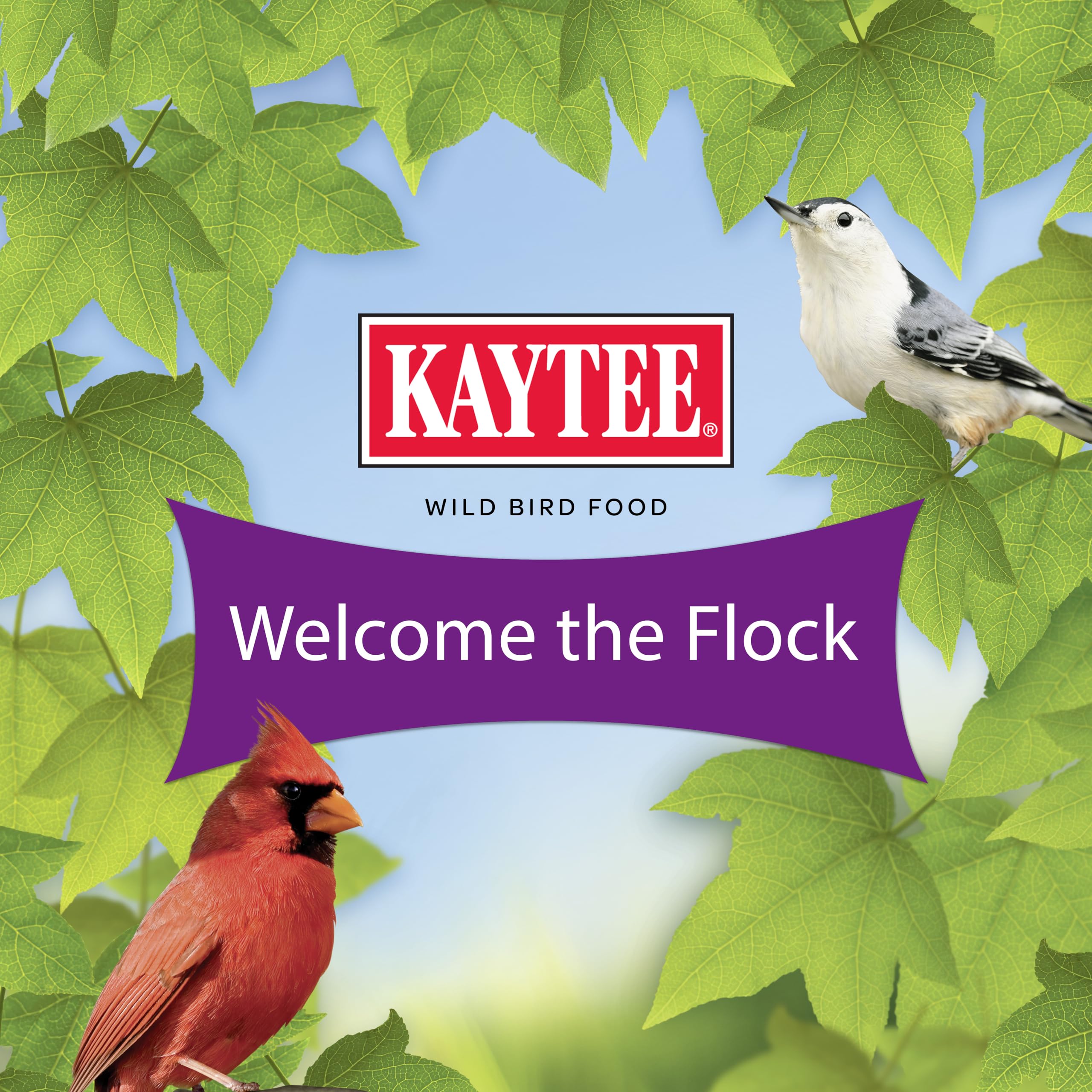 Kaytee étiquette listant ingrédients appréciés par oiseaux
