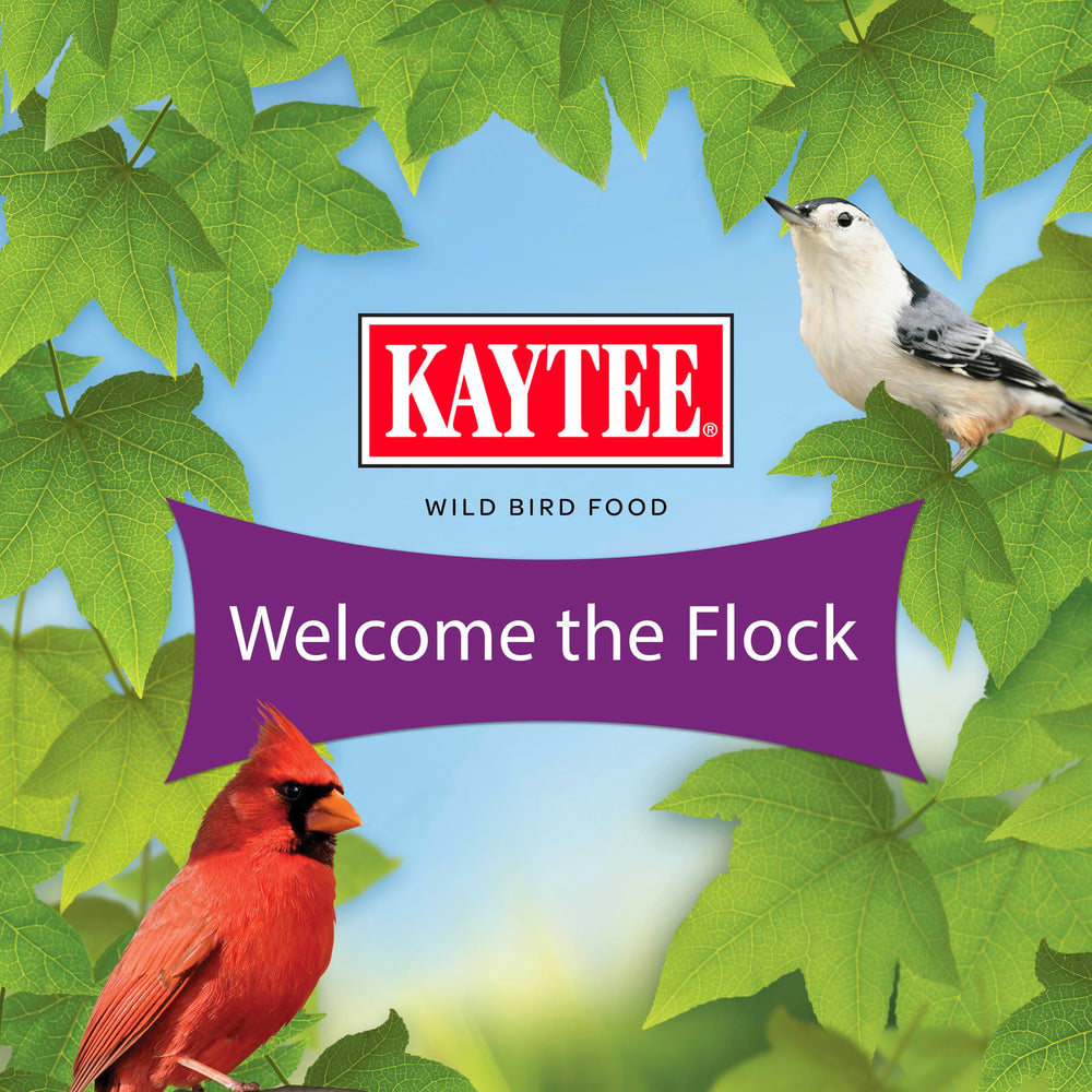 Kaytee étiquette listant ingrédients appréciés par oiseaux