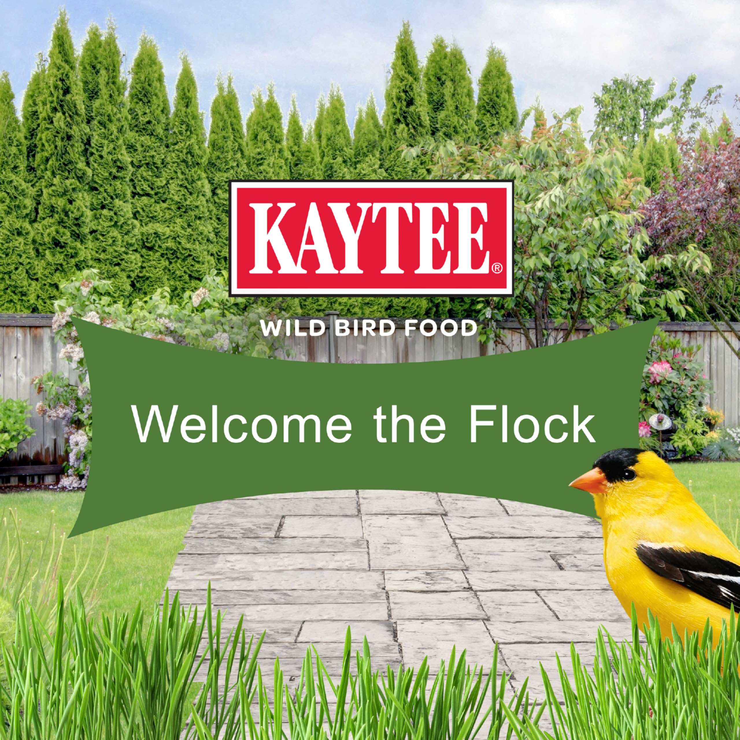 Kaytee étiquette ingrédients lisibles traduisant composition saine pour oiseaux