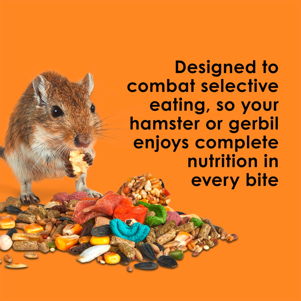Kaytee gerbil en train de manger favorisant activité et stimulation