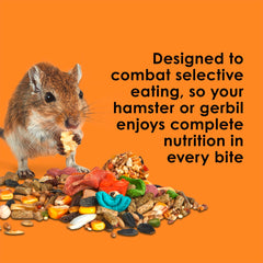 Kaytee gerbil en train de manger favorisant activité et stimulation