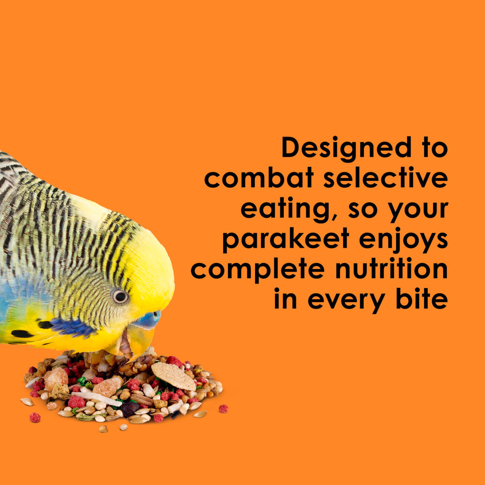 Kaytee mélange servi dans un bol intérieur encourageant comportement naturel