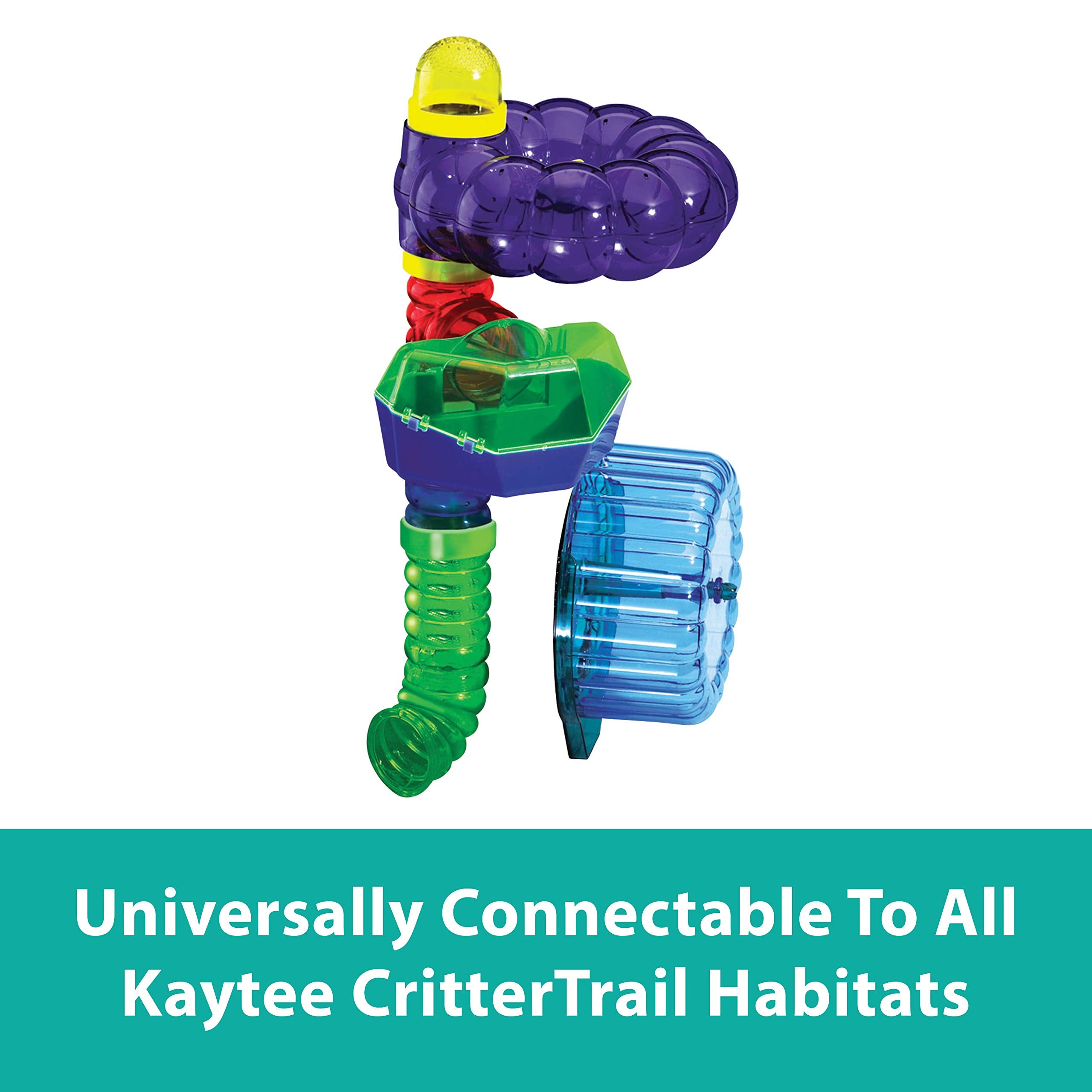 Kaytee hamster traversant tube démontrant utilisation et activité