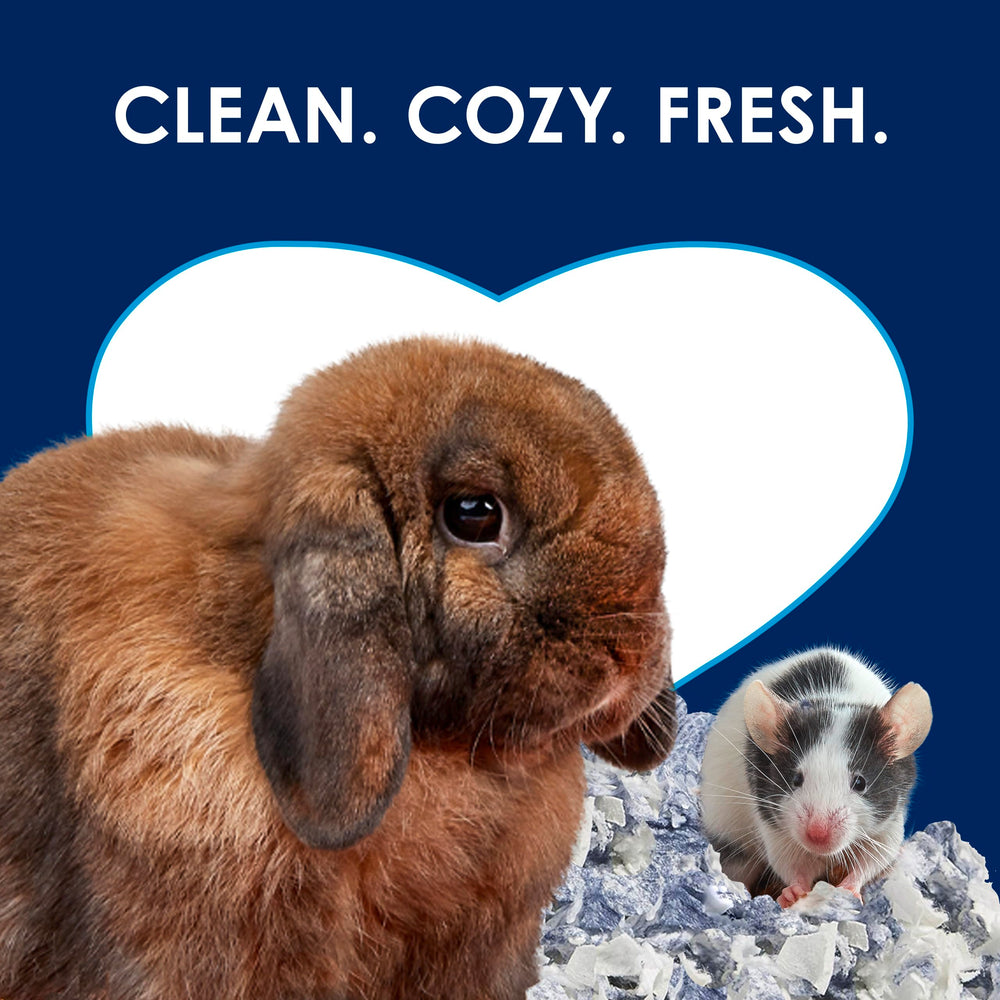 Kaytee habitat propre avec petit lapin pour un environnement sec et sain