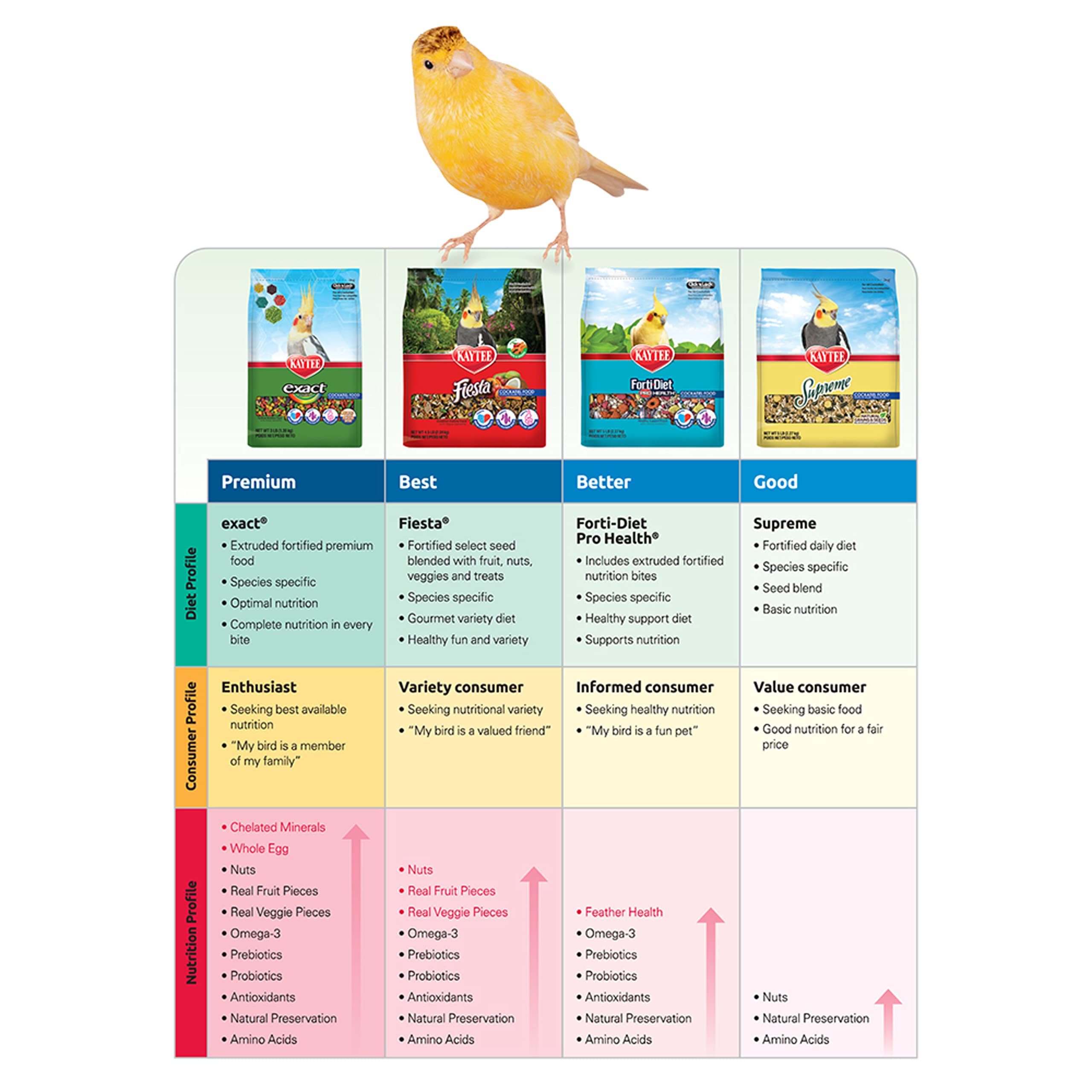 Kaytee environnement quotidien avec oiseau pour alimentation simplifiée
