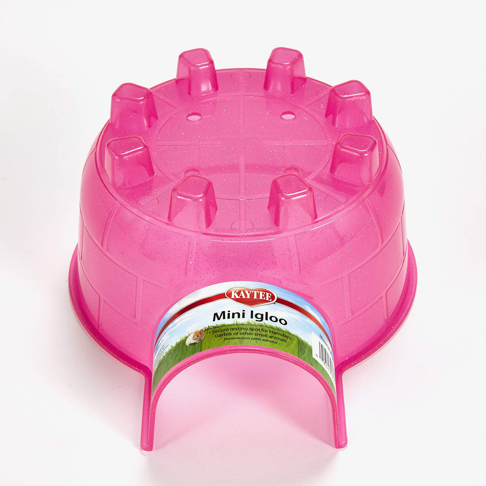 Kaytee Igloo gros plan sur plastique durable et lisse, nettoyage simplifié