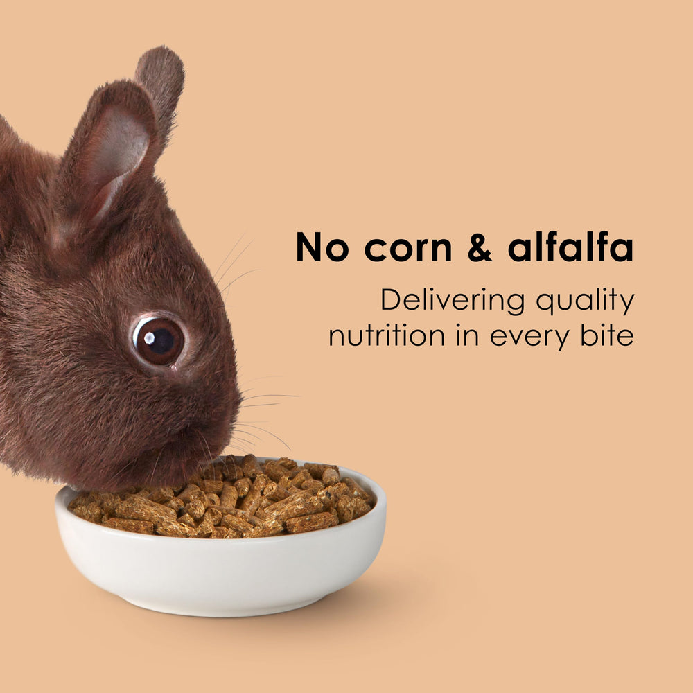Kaytee lapin mange les granulés illustrant acceptation et alimentation facile